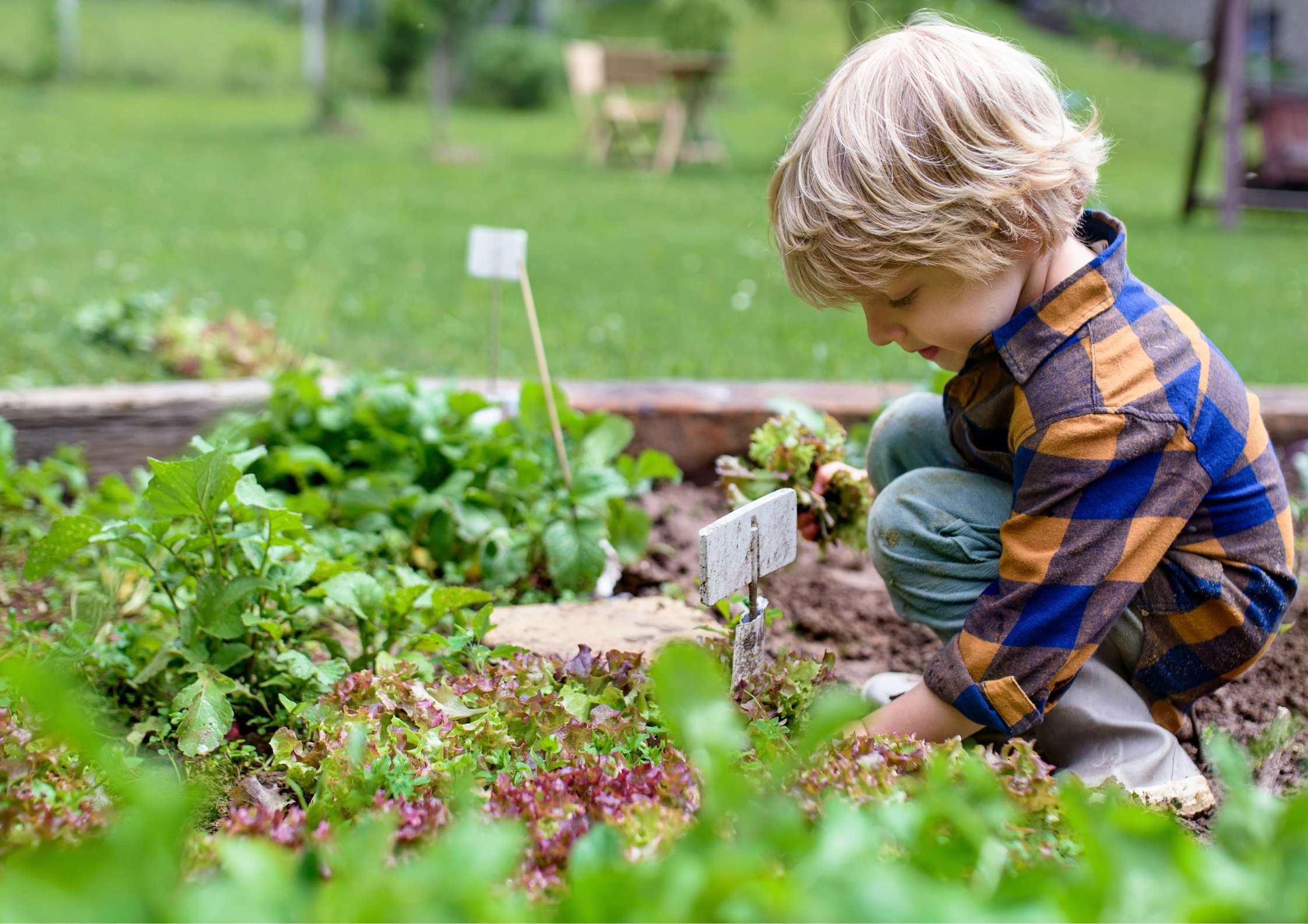 Design Preschool Spaces For Nurturing Young Minds